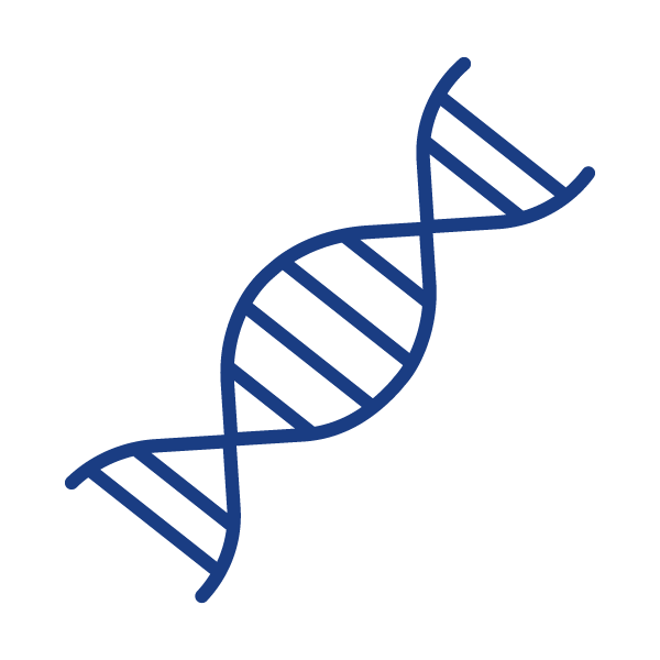 Genética e Medicina personalizada